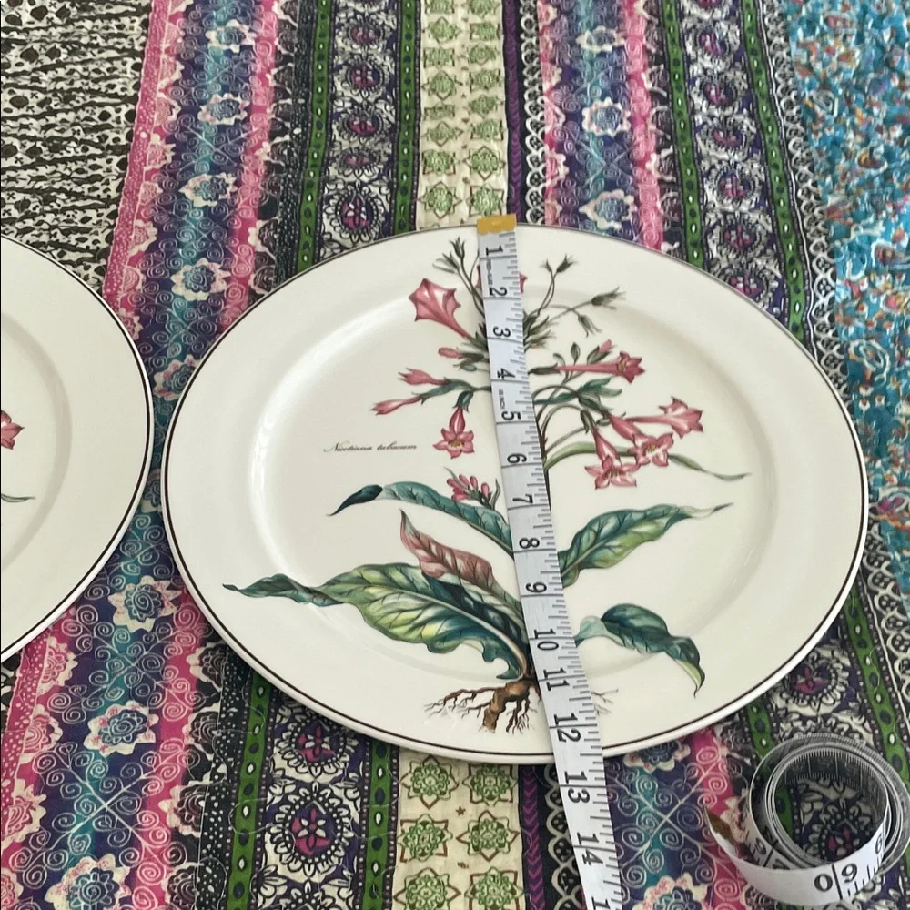 2 villory & Boch Pink Floral Dinner Plates